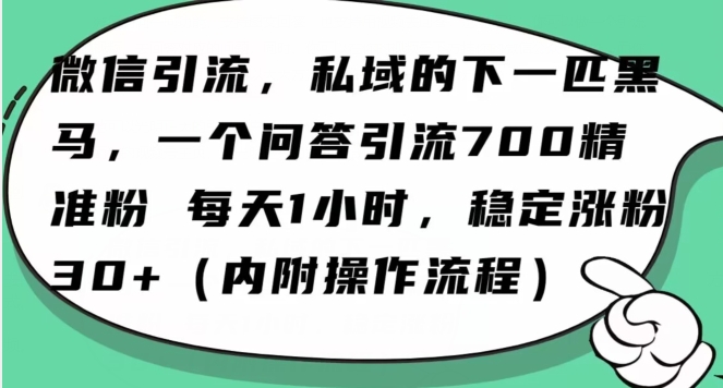 怎么搞精准创业粉？微信新赛道，每天一小时，利用Ai一个问答日引100精准粉-火山资源库