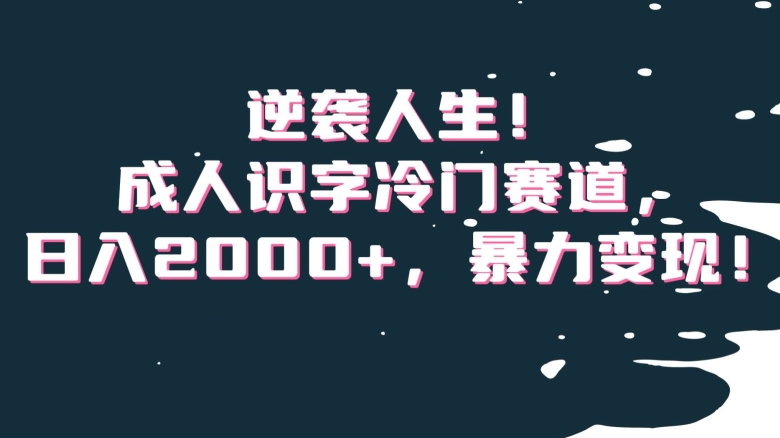 逆袭人生！成人识字冷门赛道，日入2000+，暴力变现！【揭秘】-火山资源库