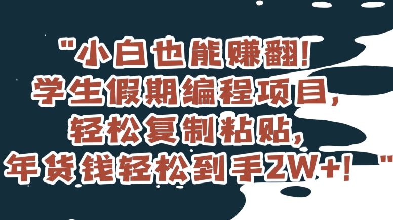 小白也能赚翻！学生假期编程项目，轻松复制粘贴，年货钱轻松到手2W+【揭秘】-火山资源库