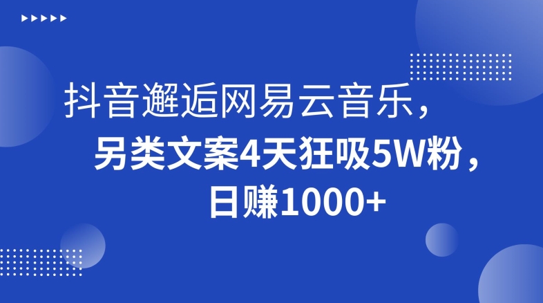 抖音邂逅网易云音乐，另类文案4天狂吸5W粉，日赚1000+【揭秘】-火山资源库
