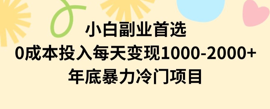 小白副业首选，0成本投入，每天变现1000-2000年底暴力冷门项目【揭秘】-火山资源库