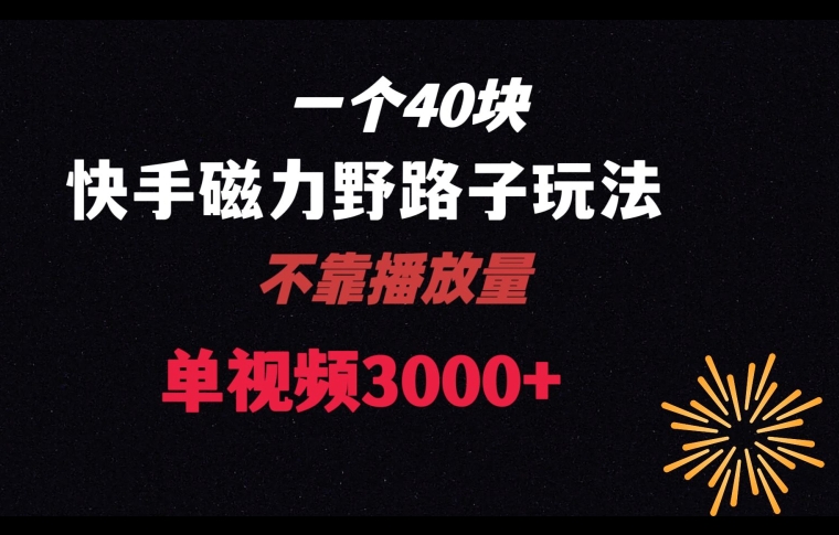 一个40块，快手联合美团磁力新玩法，无视机制野路子玩法，单视频收益4位数【揭秘】-火山资源库