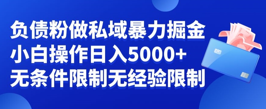 负债粉私域暴力掘金，小白操作入5000，无经验限制，无条件限制【揭秘】-火山资源库