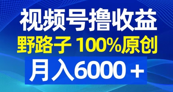 视频号野路子撸收益，100%原创，条条爆款，月入6000＋【揭秘】-火山资源库