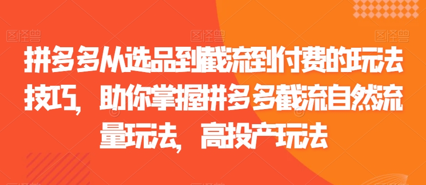拼多多从选品到截流到付费的玩法技巧，助你掌握拼多多截流自然流量玩法，高投产玩法-火山资源库
