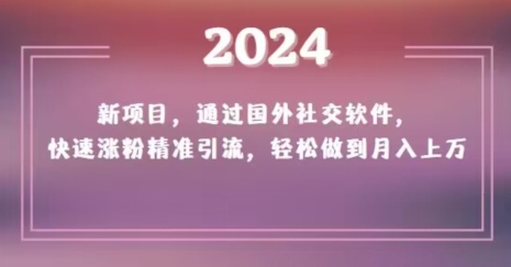 2024新项目，通过国外社交软件，快速涨粉精准引流，轻松做到月入上万【揭秘】-火山资源库