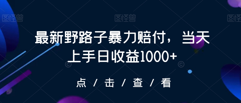 最新野路子暴力赔付，当天上手日收益1000+【仅揭秘】-火山资源库