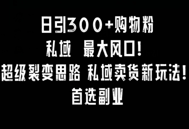日引300+购物粉，超级裂变思路，私域卖货新玩法，小红书首选副业【揭秘】-火山资源库
