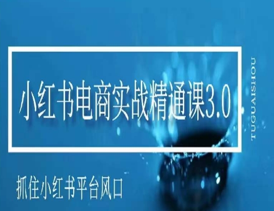 小红书电商实战精通课3.0，抓住小红书平台的风口，不错过有一个赚钱的机会-火山资源库