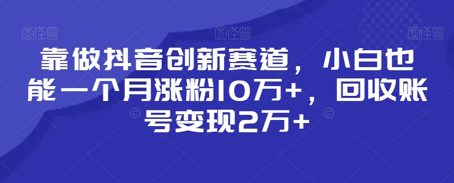 靠做抖音创新赛道，小白也能一个月涨粉10万+，回收账号变现2万+【揭秘】-火山资源库
