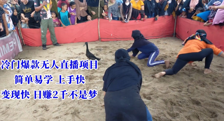 冷门爆款无人直播项目，简单易学上手快，变现快日赚2千不是梦【揭秘】-火山资源库