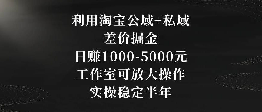 利用淘宝公域+私域差价掘金，日赚1000-5000元，工作室可放大操作，实操稳定半年【揭秘】-火山资源库