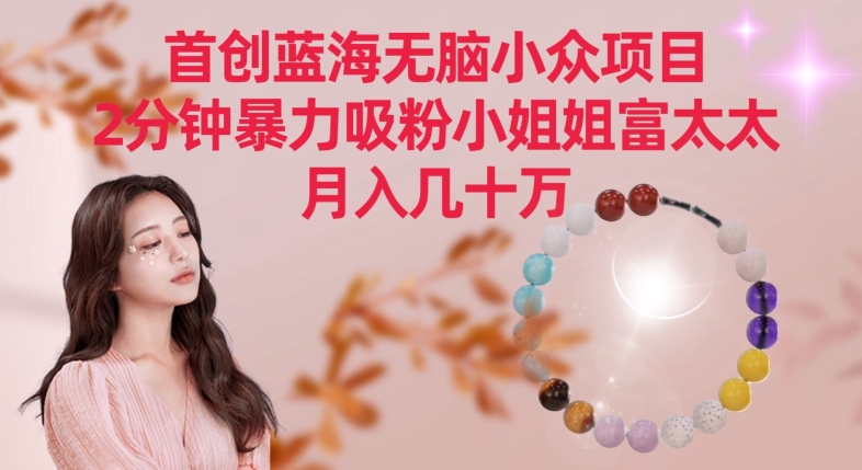首创蓝海无脑小众项目，2分钟暴力吸粉小姐姐富太太，月入几十万【揭秘】-火山资源库