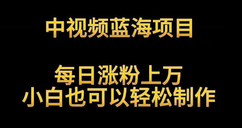 中视频蓝海项目，解读英雄人物生平，每日涨粉上万，小白也可以轻松制作，月入过万不是梦【揭秘】-火山资源库