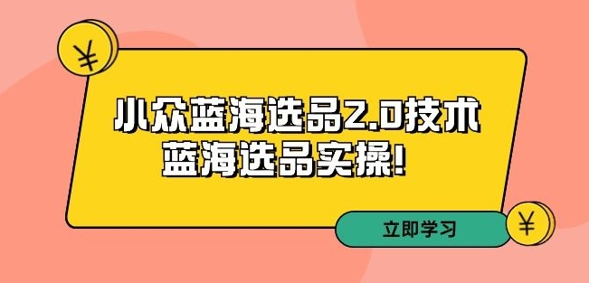 拼多多培训第33期：小众蓝海选品2.0技术-蓝海选品实操！-火山资源库