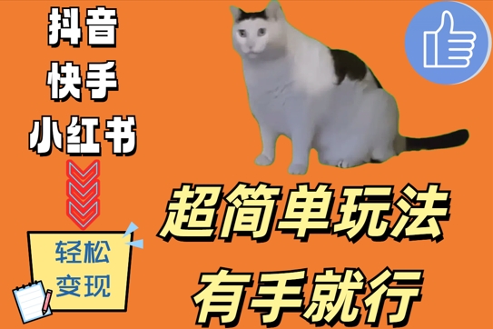 超简单玩法，有手就行，靠猫咪视频日入500+【揭秘】-火山资源库