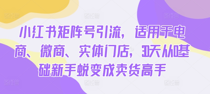 小红书矩阵号引流，适用于电商、微商、实体门店，30天从0基础新手蜕变成卖货高手-火山资源库