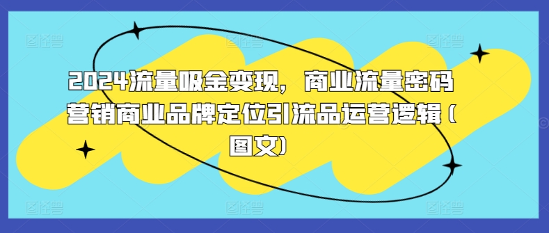 2024流量吸金变现，商业流量密码营销商业品牌定位引流品运营逻辑(图文)-火山资源库