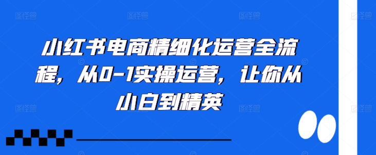小红书电商精细化运营全流程，从0-1实操运营，让你从小白到精英-火山资源库