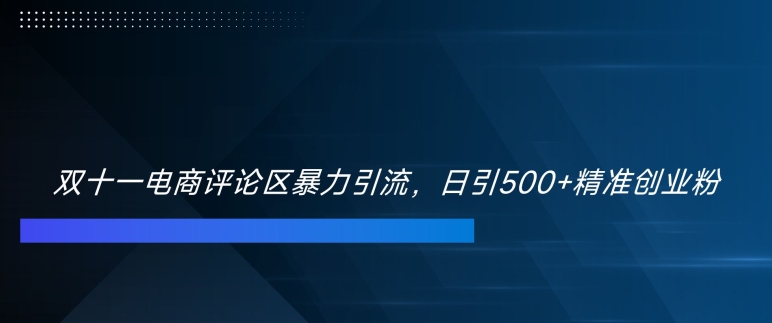 双十一电商评论区暴力引流，日引500+精准创业粉【揭秘】-火山资源库