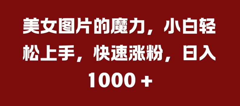 美女图片的魔力，小白轻松上手，快速涨粉，日入几张【揭秘】-火山资源库