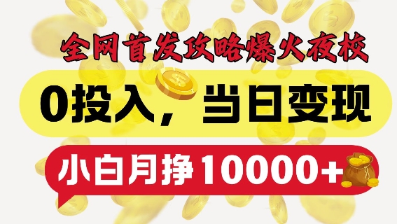 全网首发爆火夜校，0投入，当日变现，小白轻松月入1w+【揭秘】-火山资源库