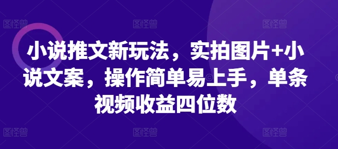 小说推文新玩法，实拍图片+小说文案，操作简单易上手，单条视频收益四位数-火山资源库