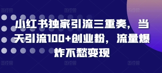 小红书独家引流三重奏，当天引流100+创业粉，流量爆炸不愁变现【揭秘】-火山资源库