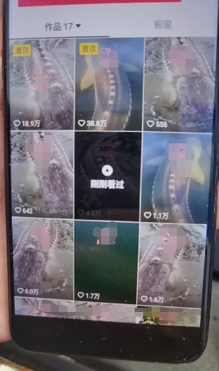 外面卖399的国学佛像原创暴力起号技术，快速起号，7天可达到一个万粉号-火山资源库