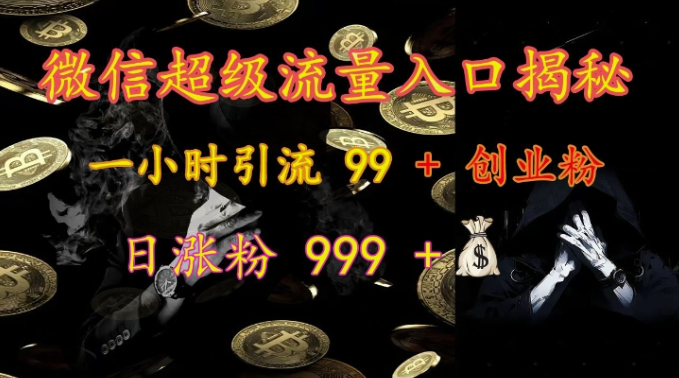 微信超级流量入口揭秘：一小时引流 99 + 创业粉，日涨粉 999 +-火山资源库