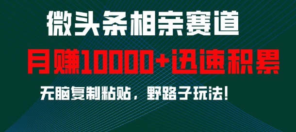微头条相亲赛道，迅速积累，无脑复制粘贴，野路子玩法，月入1w-火山资源库