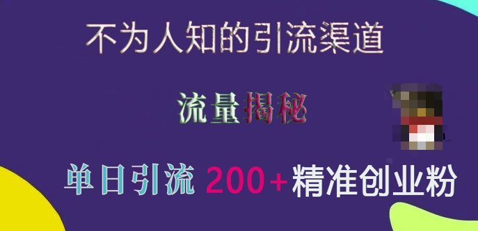 不为人知的引流渠道，流量揭秘，实测单日引流200+精准创业粉【揭秘】-火山资源库