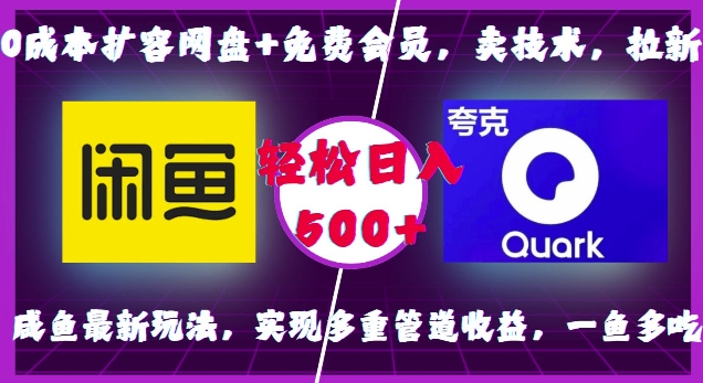 0成本扩容网盘+免费会员，卖技术，拉新，咸鱼最新玩法，实现多重管道收益，一鱼多吃，轻松日入500+-火山资源库