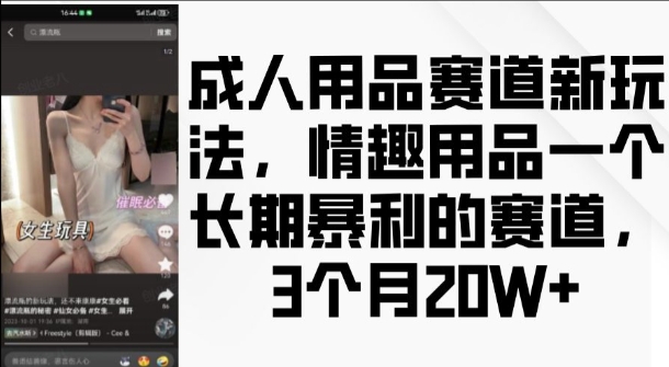 成人用品赛道新玩法，情趣用品一个长期暴利的赛道，3个月收益20个【揭秘】-火山资源库