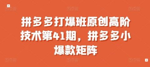 拼多多打爆班原创高阶技术第41期，拼多多小爆款矩阵-火山资源库